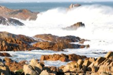 South Africa's rugged West Coast